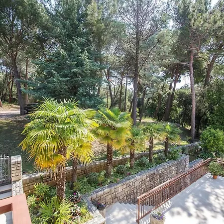 Apartman Zulijani A6